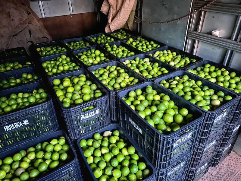Fruticultura é realidade em Costa Rica, 1º caminhão com 110 caixas de limão é entregue ao CEASA na Capital